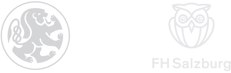 HiDALGO Center of Excellence
