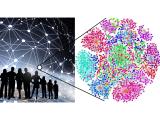 Social Networks Pilot